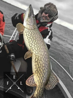 Eastfield Wingman Curly 23cm, 77g -Angelausrüstungsgeschäft wingman curlr 3