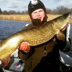 Eastfield Wingman Curly 23cm, 77g -Angelausrüstungsgeschäft wingman curlr 4